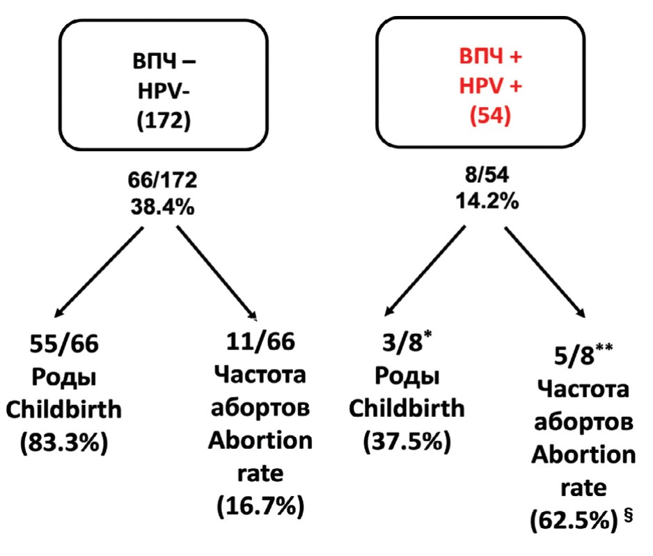 Сравнение совокупных показателей беременности, живорождений и выкидышей, наблюдаемых у неинфицированных и зараженных пар 