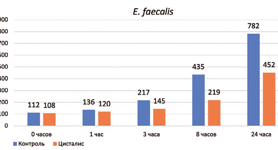 Антибактериальная активность геля Цисталис® в отношении E. faecalis