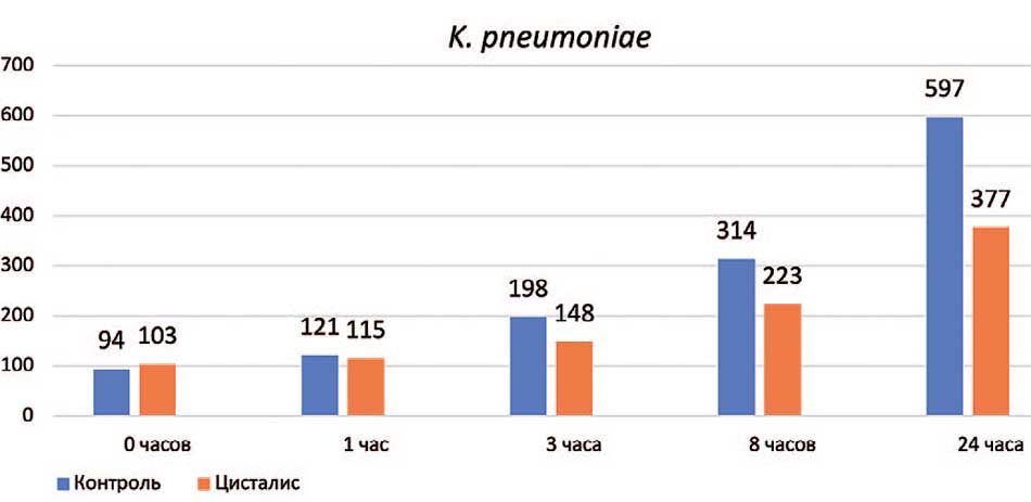 Антибактериальная активность геля Цисталис® в отношении K. pneumoniae