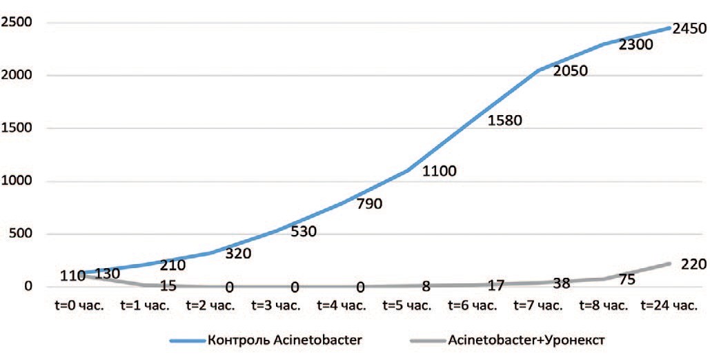 Выраженность антибактериального эффекта «Уронекста®» в отношении Аcinetobacter baumannii  (МИК 25 мг/мл)