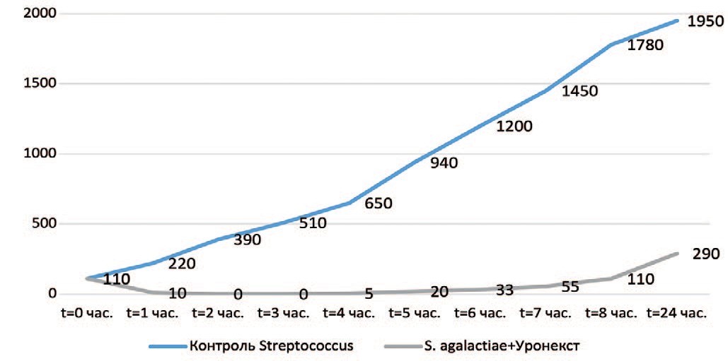 Выраженность антибактериального эффекта «Уронекста®» в отношении Streptococcus agalactiae (МИК 50 мг/мл)