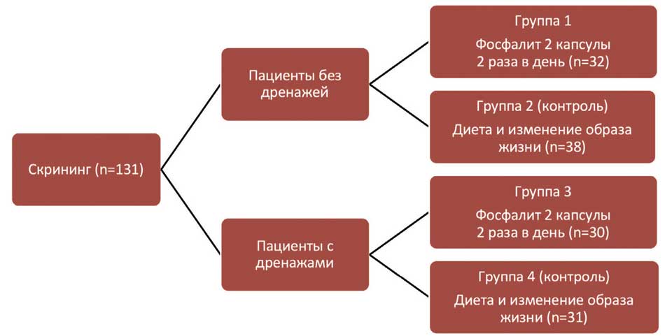 Распределение исследуемой популяции по группам