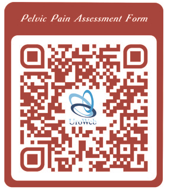 Анкета оценки тазовой боли