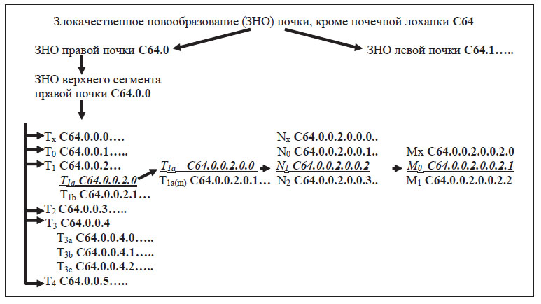 Формирование диагноза «Рак верхнего сегмента правой почки T1aN,M0» (клинический код C64.0.0.2.0.0.2.1) 