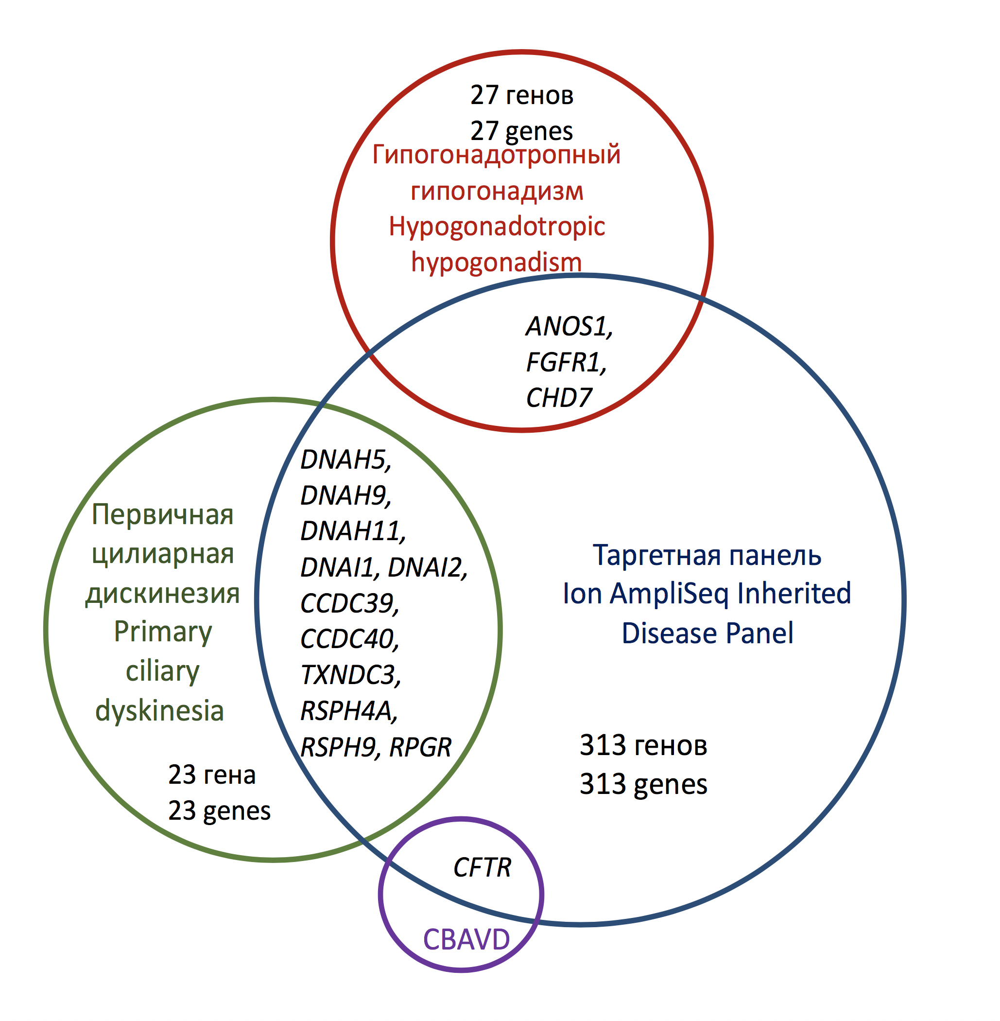 Покрытие генов-кандидатов при основных моногенных формах МБ расширенной таргетной панелью AmpliSeq для NGS-диагностики наследственных заболеваний