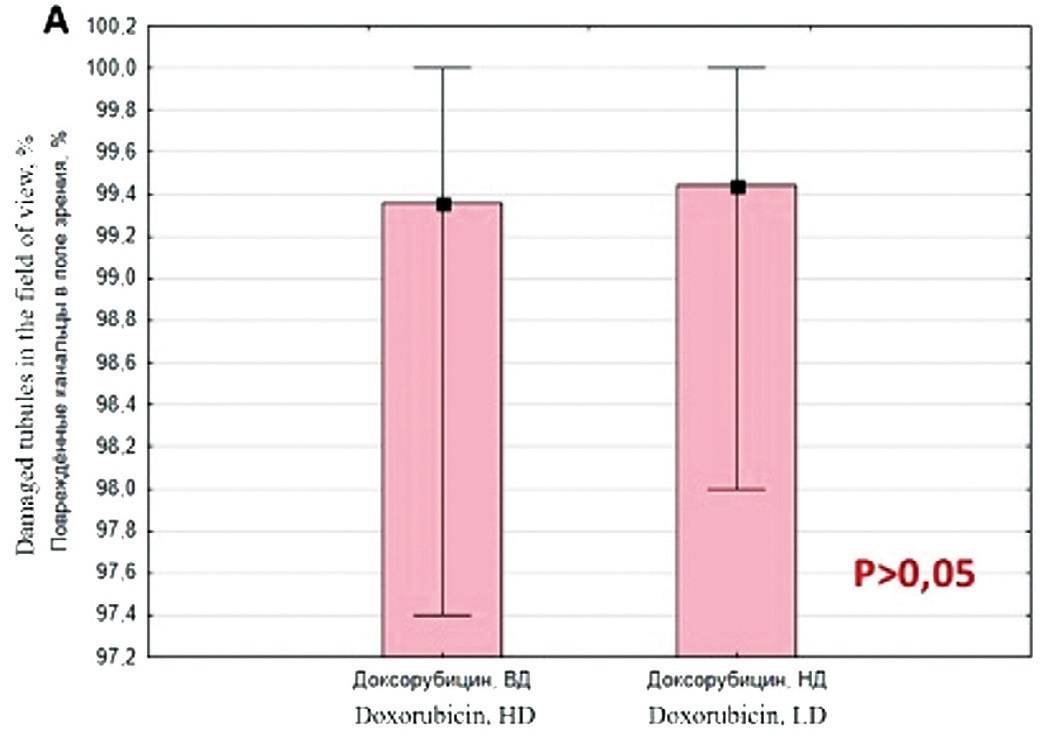 Рис. 2. Сравнительная оценка выраженности нарушений сперматогенеза при использовании Доксорубицина и Цисплатина  А