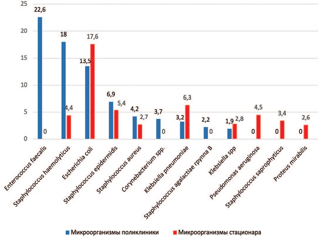 Микроорганизмы, выделенные из мочи пациентов с урологическими заболеваниями, НИИ урологии, 2022 г.
