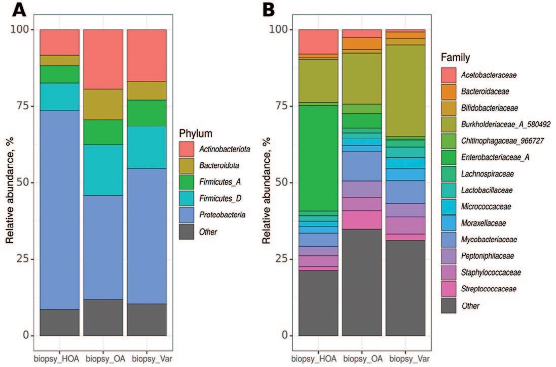 Таксономический состав микробиоты ткани яичка (по средним значениям в группе). А – на уровне фил, В – на уровне семейств.