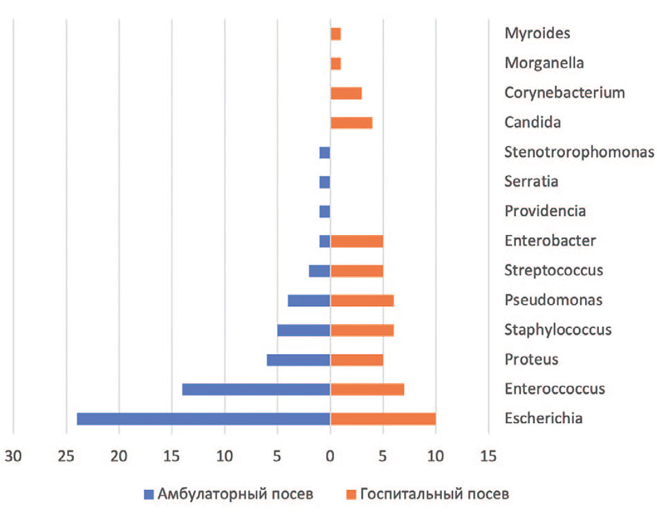 Распределение патогенов в выявленных группах результатов амбулаторного и стационарного посева мочи
