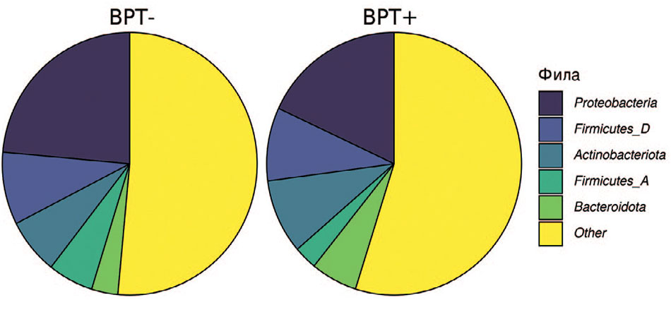 Таксономический состав на уровне фил в образцах микробиоты ткани яичка в группах сравнения
