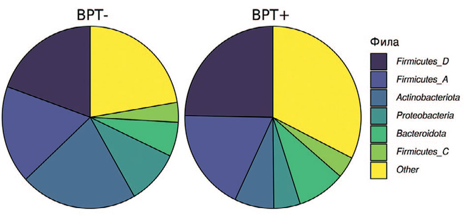 Таксономический состав на уровне фил в образцах микробиоты уретры в группах сравнения