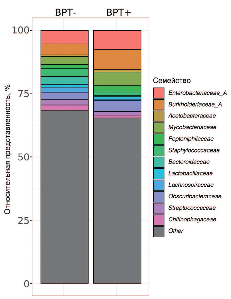 Таксономический состав бактериальных семейств в образцах микробиоты ткани яичка